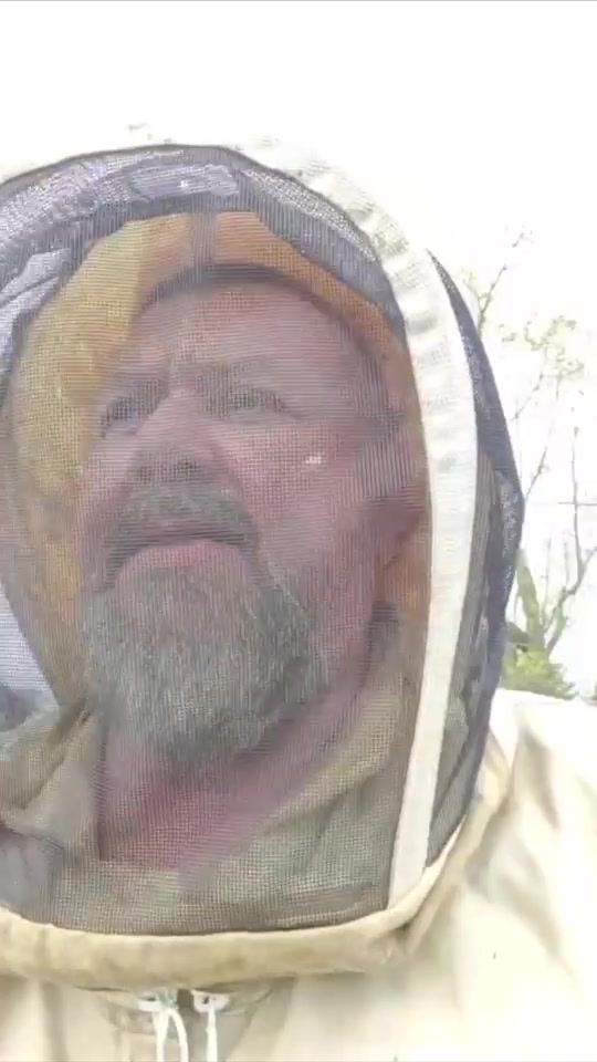 @The Angry Beekeeper🇨🇦