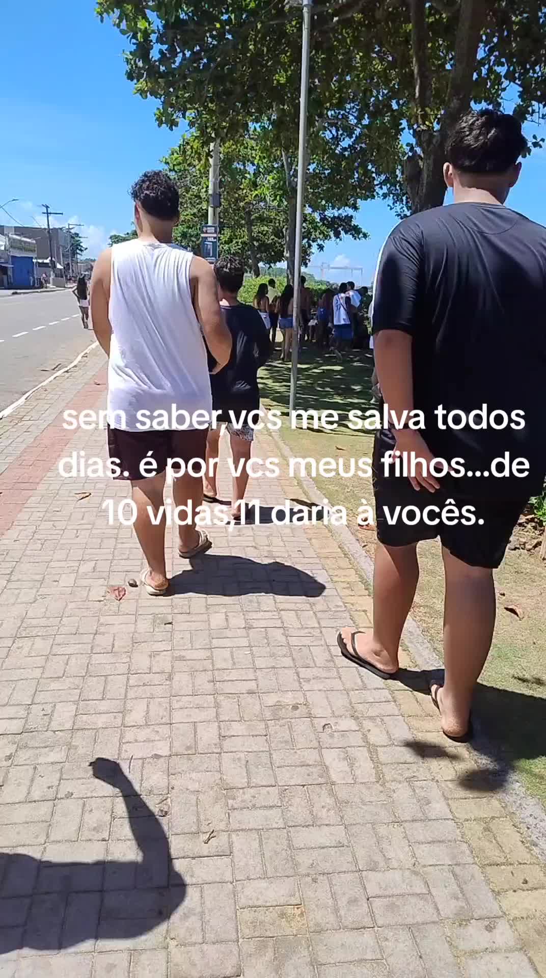 @lacerda_nogueira