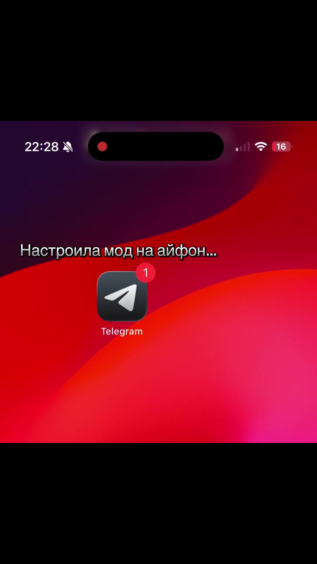 @Тутор в лс