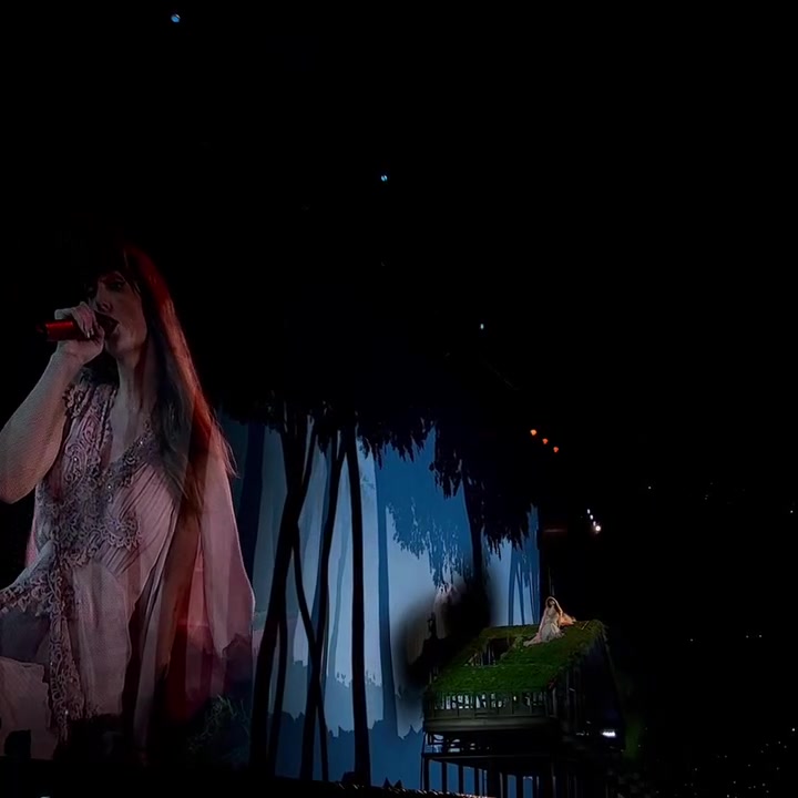 @𓂃꙳⋆videos from the eras tour