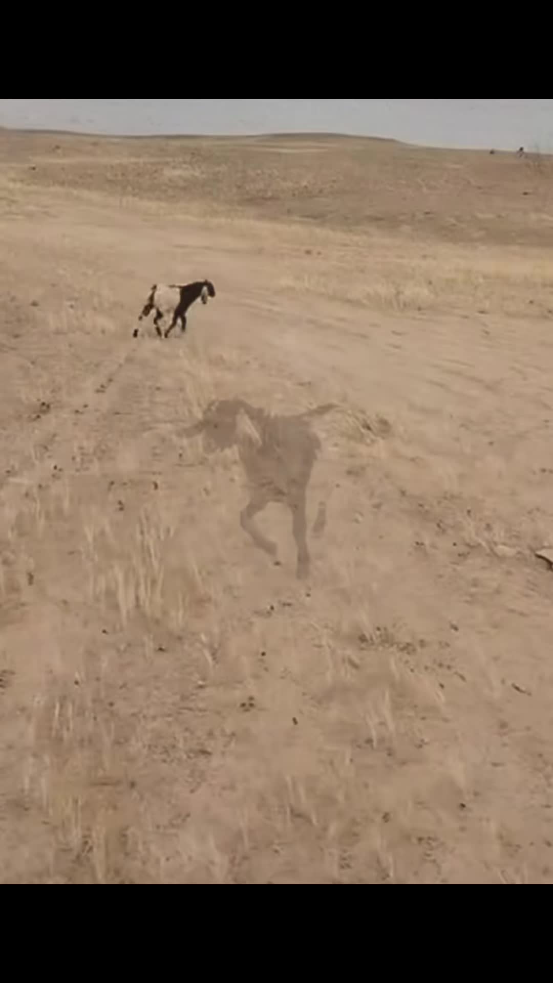 @أّبِوِ جِأَّّسمَ 811