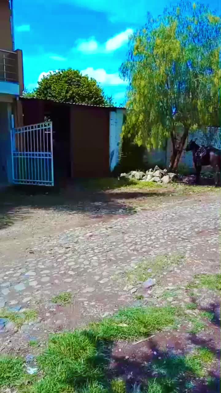 @Gutierrez 90
