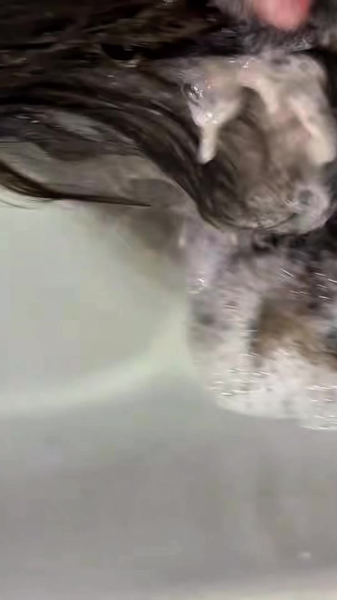 @ASMR Transformation💈✂️