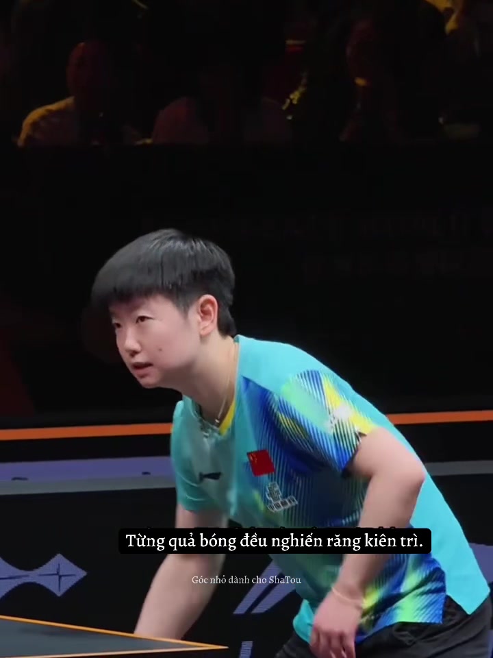 @Góc nhỏ dành cho ShaTou🦁🦈❤️
