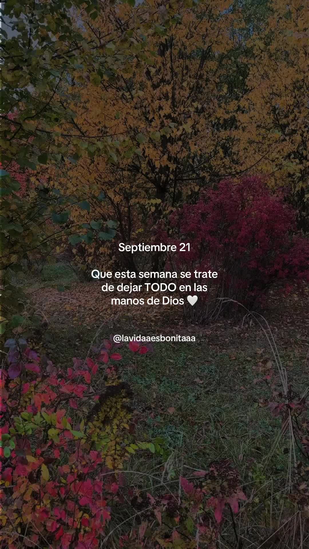 @vidabonita❤️🩹