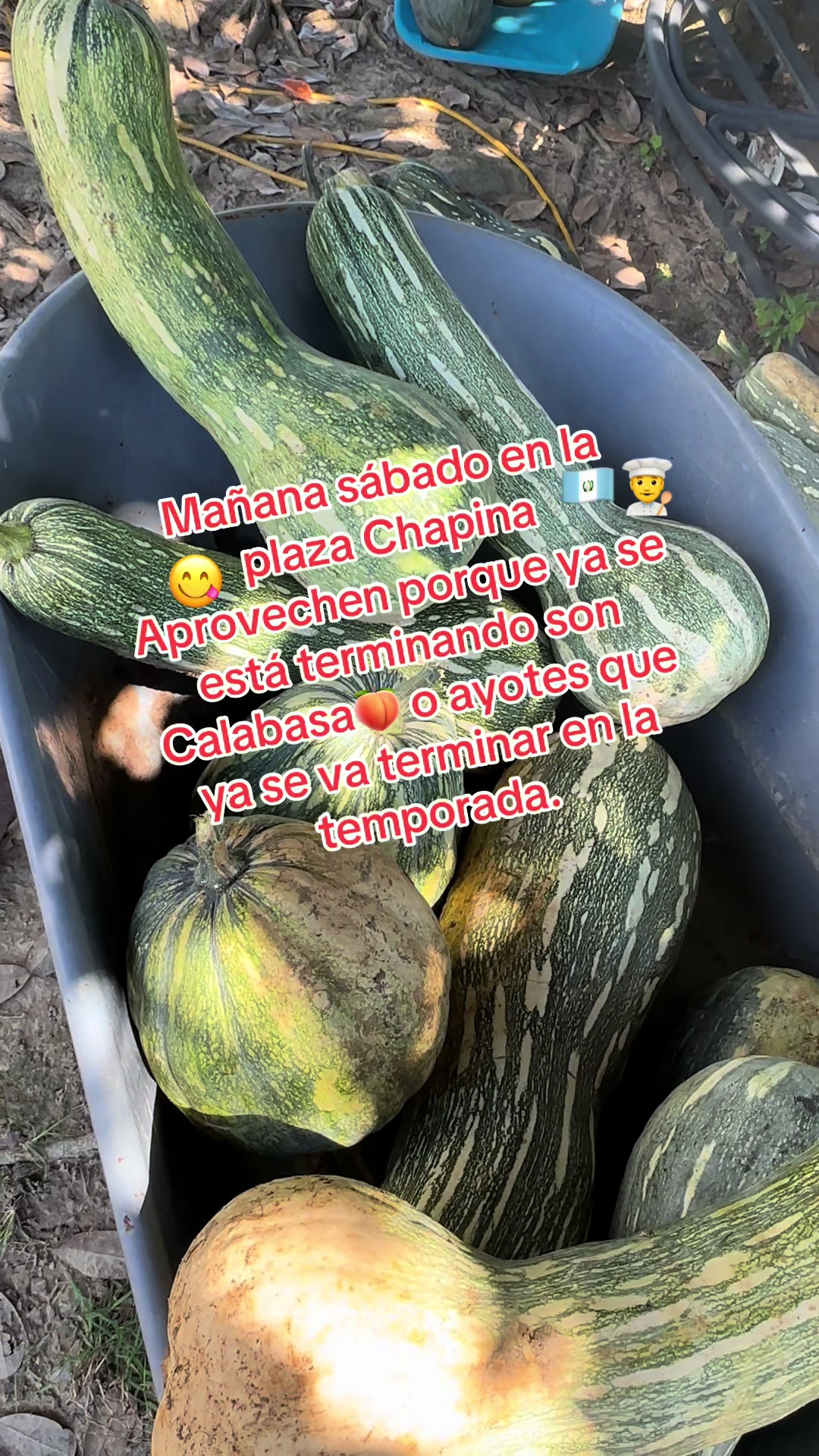 @🥀🥭✝️Marta Raymundo🥀🥷🏿✝️