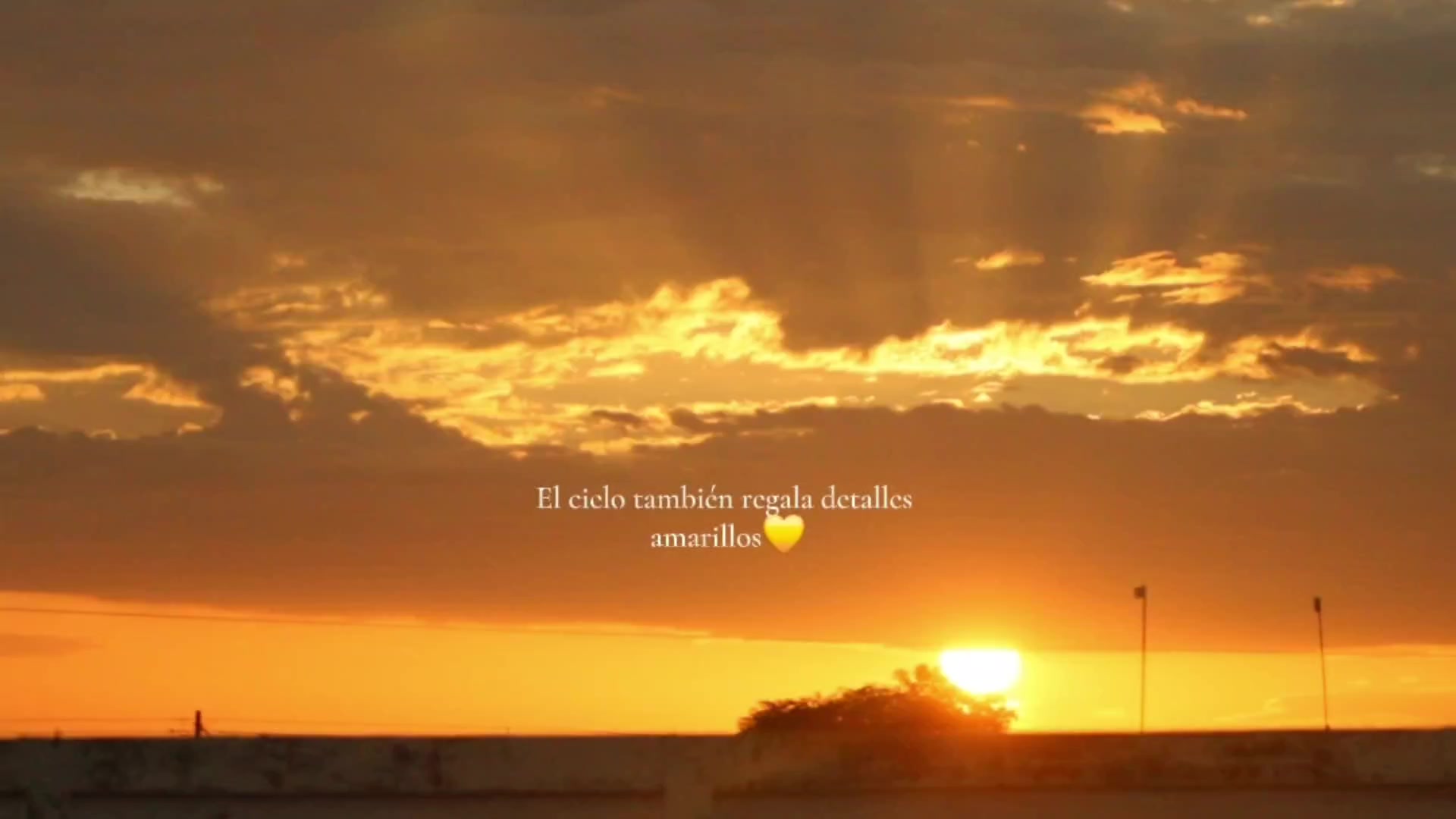@Yonathan Díaz