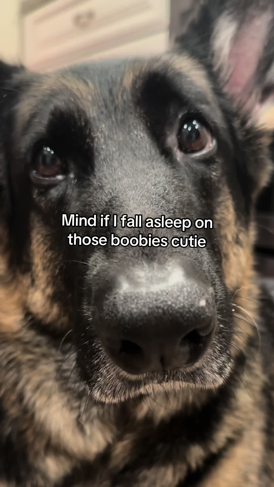 @Bhris