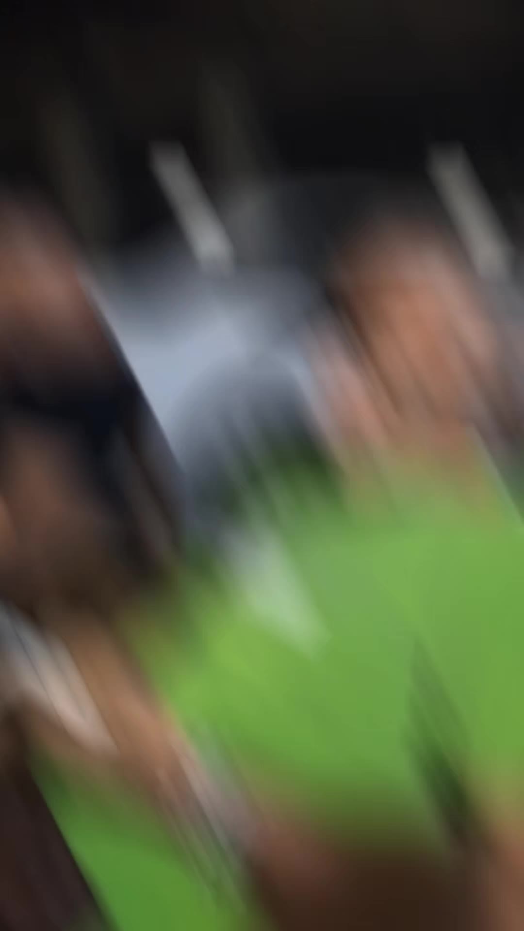 @gaudinogiovanni