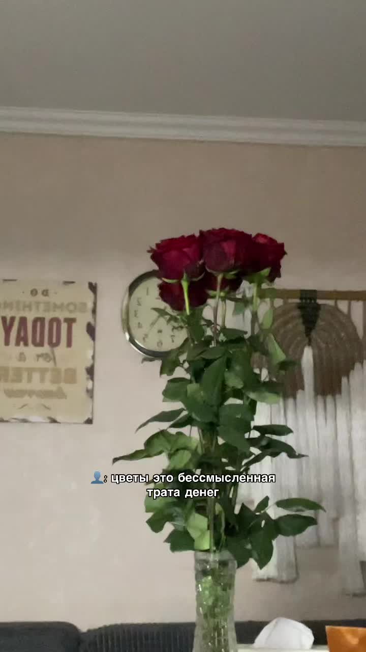 @милана муркина