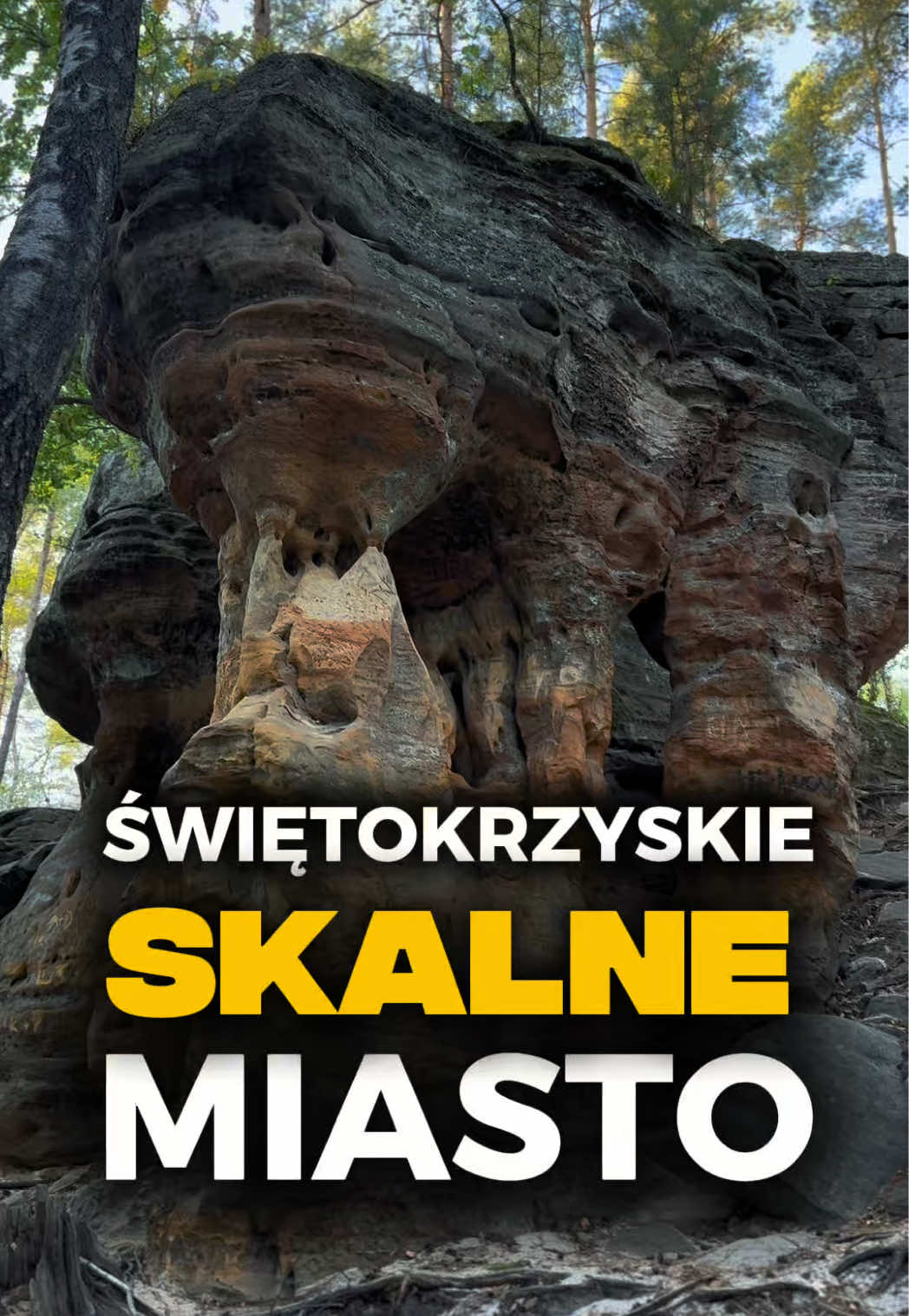 @HASAJĄCE ZAJĄCE
