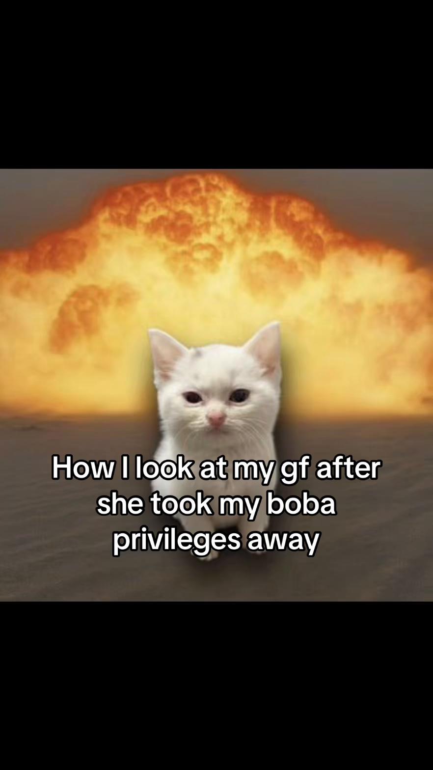 @LavanderCat