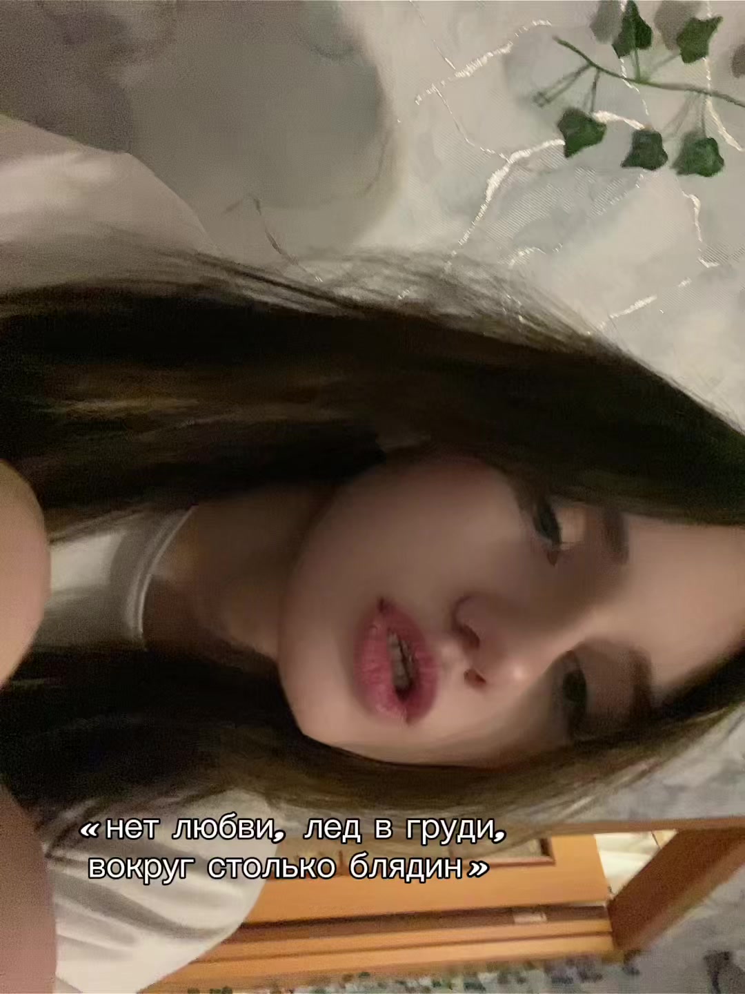 @белка 🛐