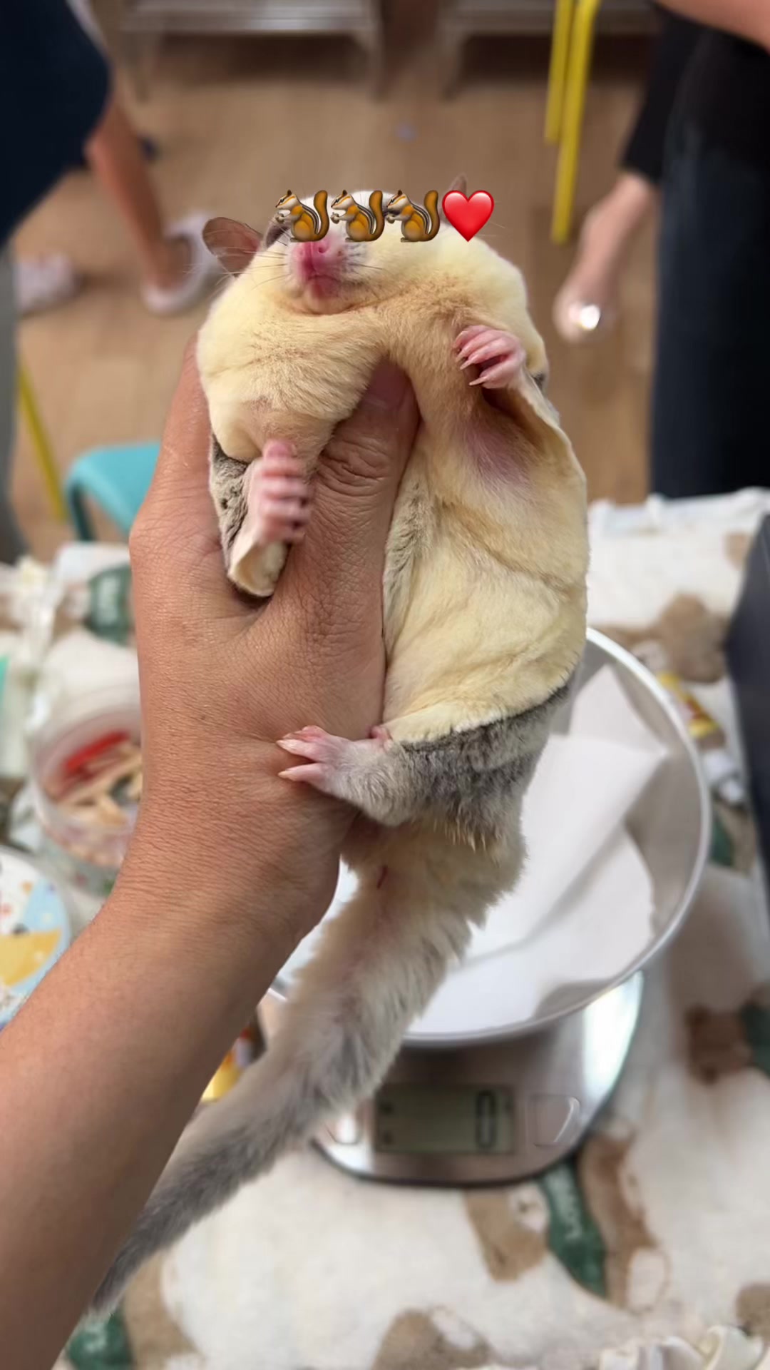 @jesugarglider.id1