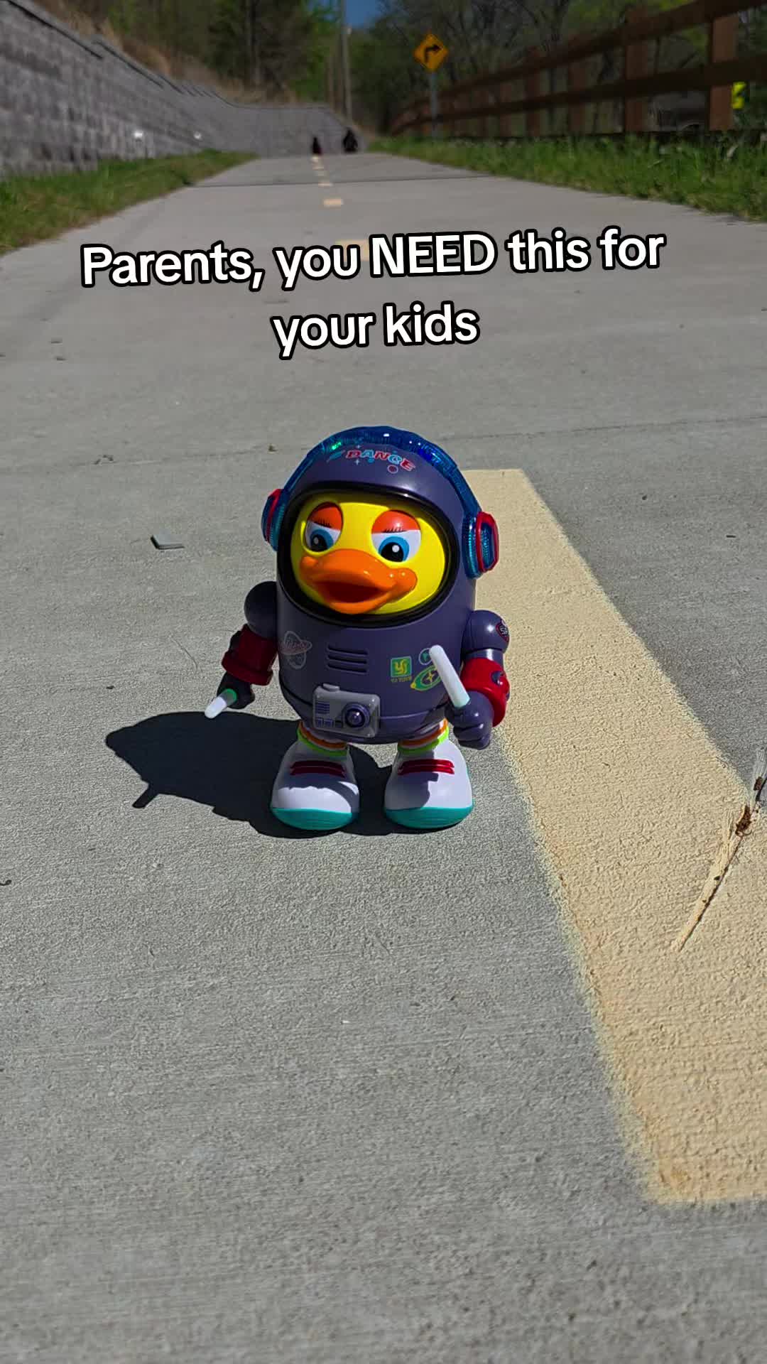 @NinjaRacoony