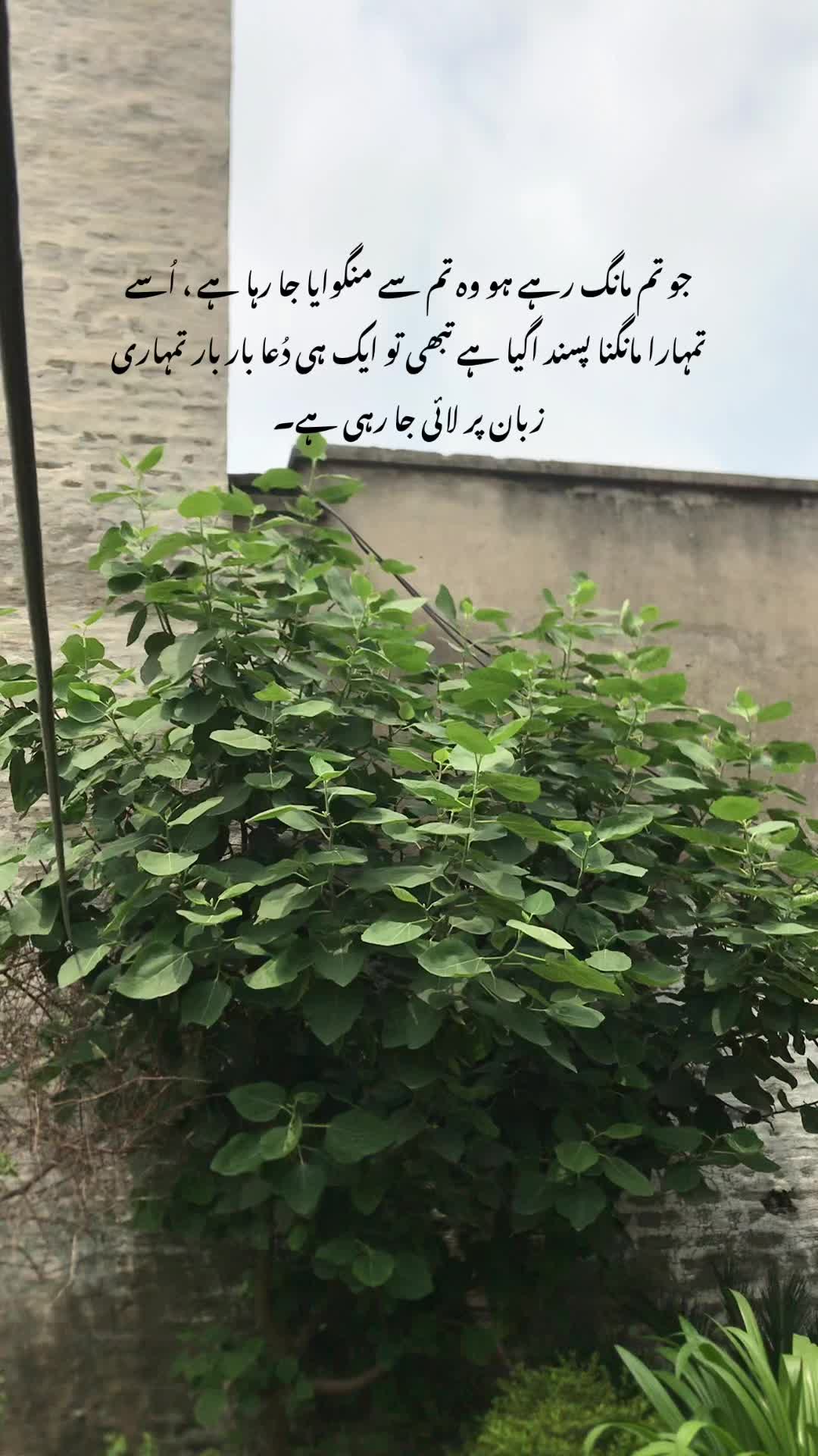 @فیضہ🤍