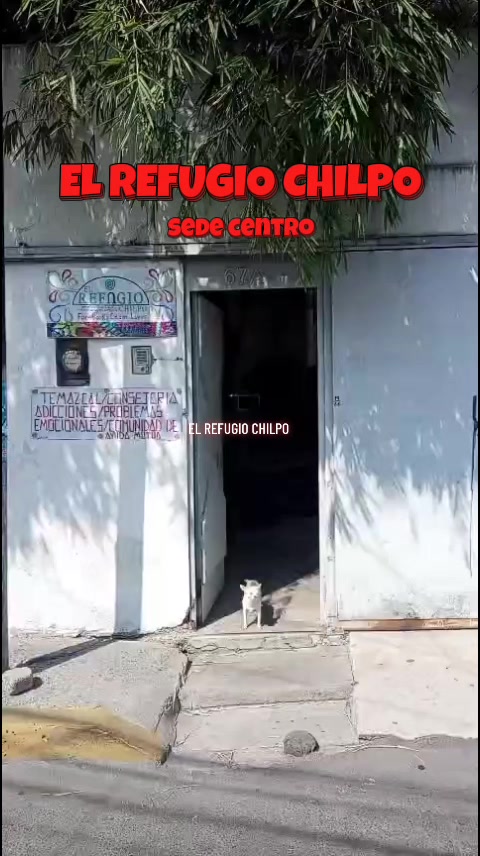 @Cézar Lupus