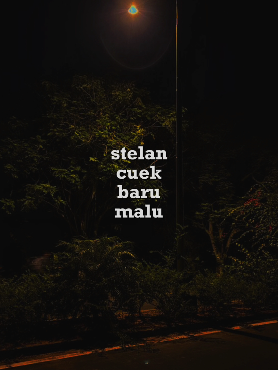 @fwnterr || 𝐂'𝐒𝐁