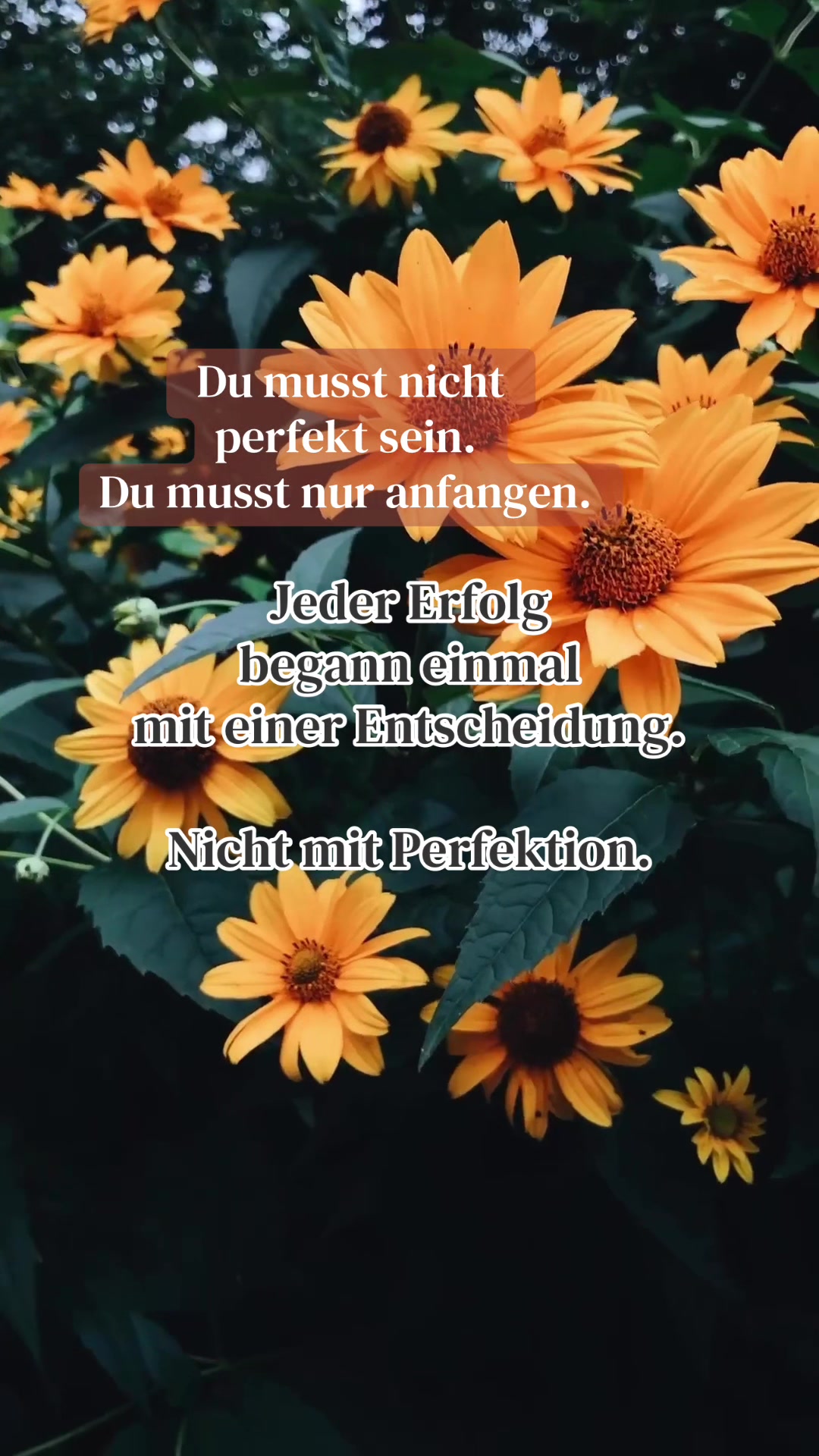 @Steffi | Online-Business