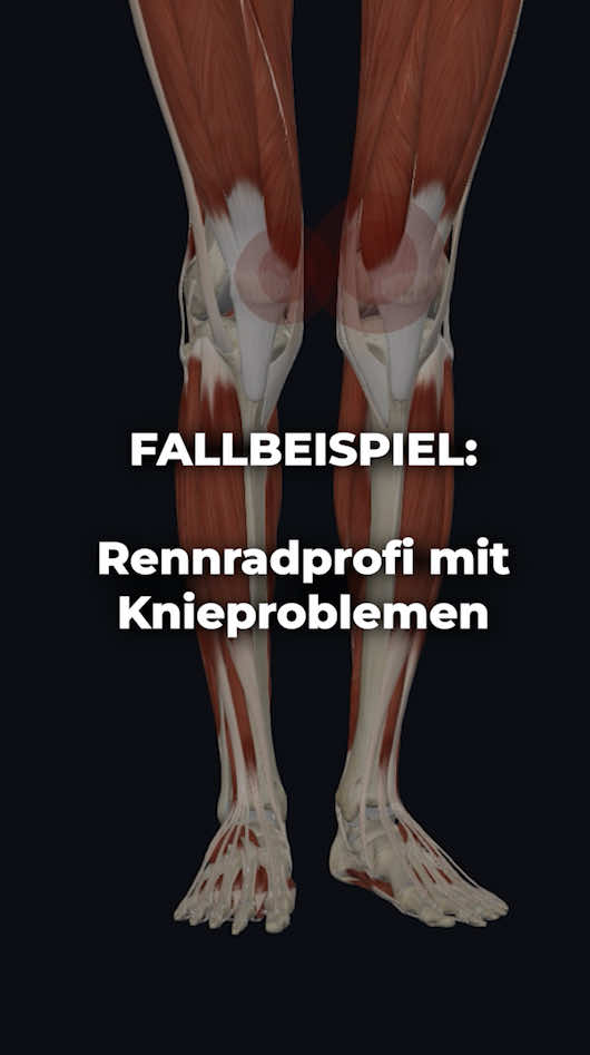 @lukas PhysioFit