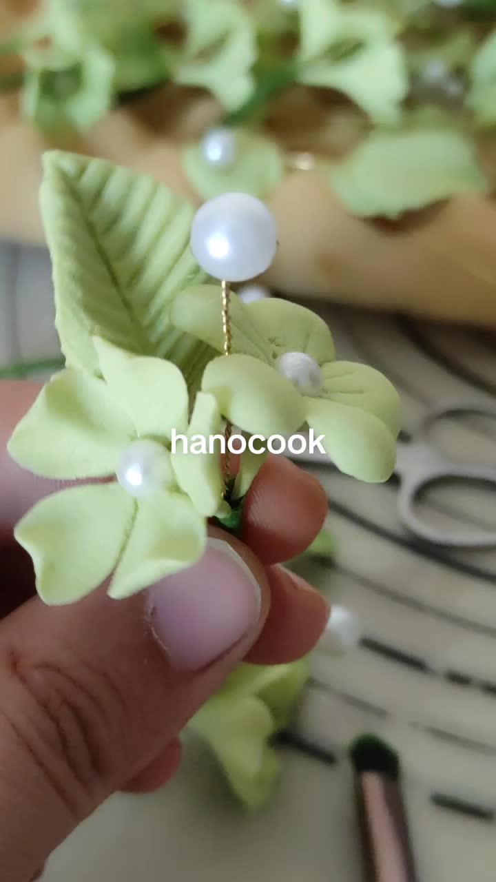 @hanocook