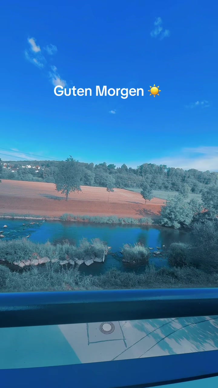 @morbella12