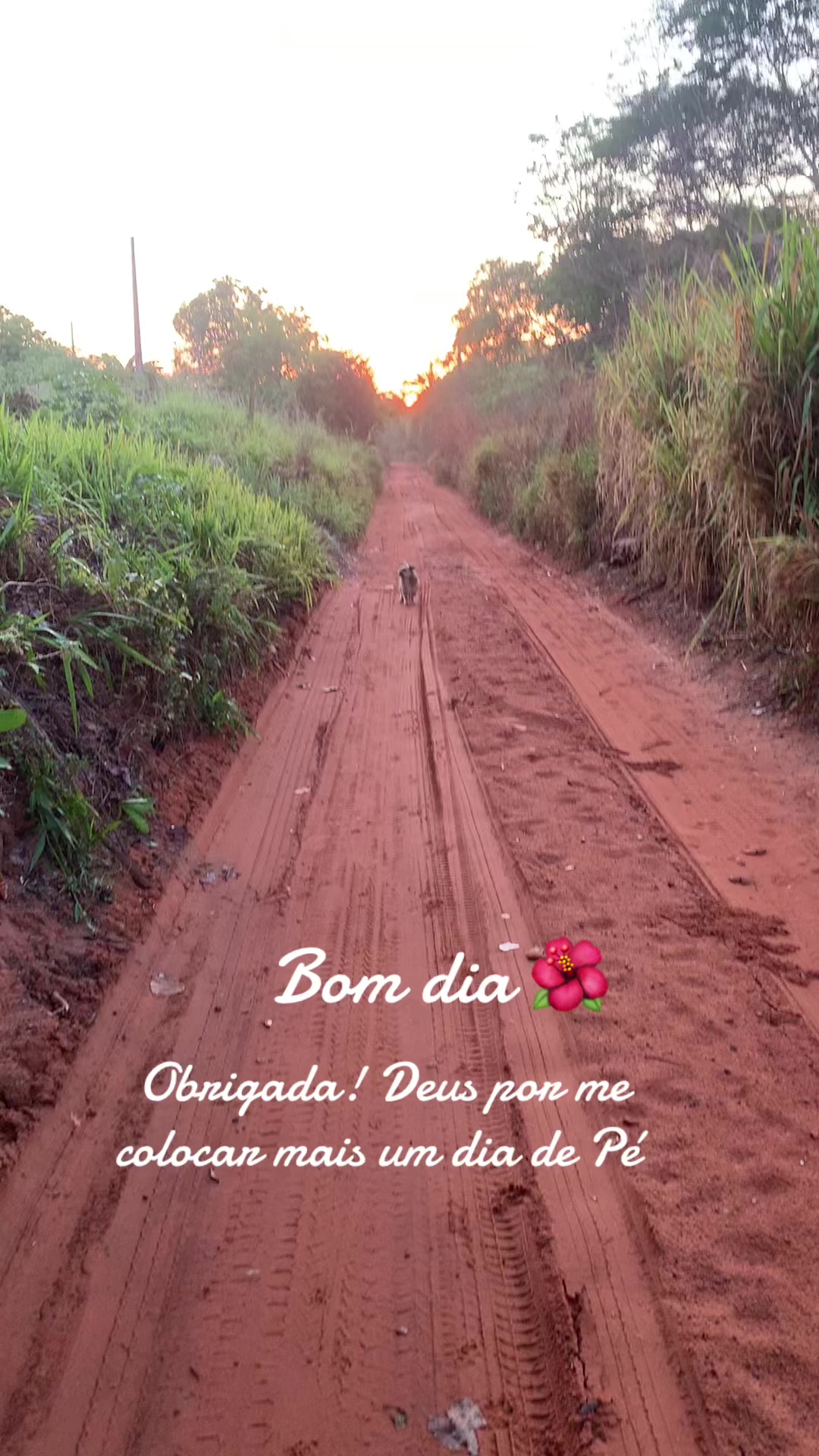 @Entre Laços