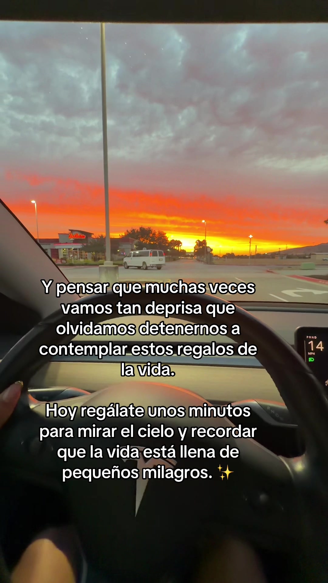 @soygreisp