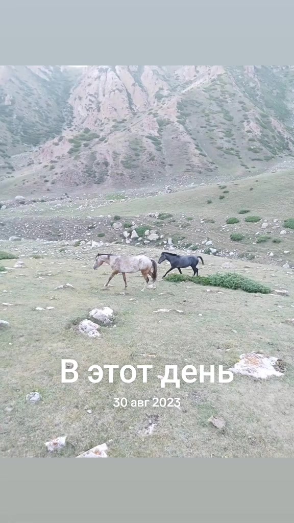 @Rustem91_06