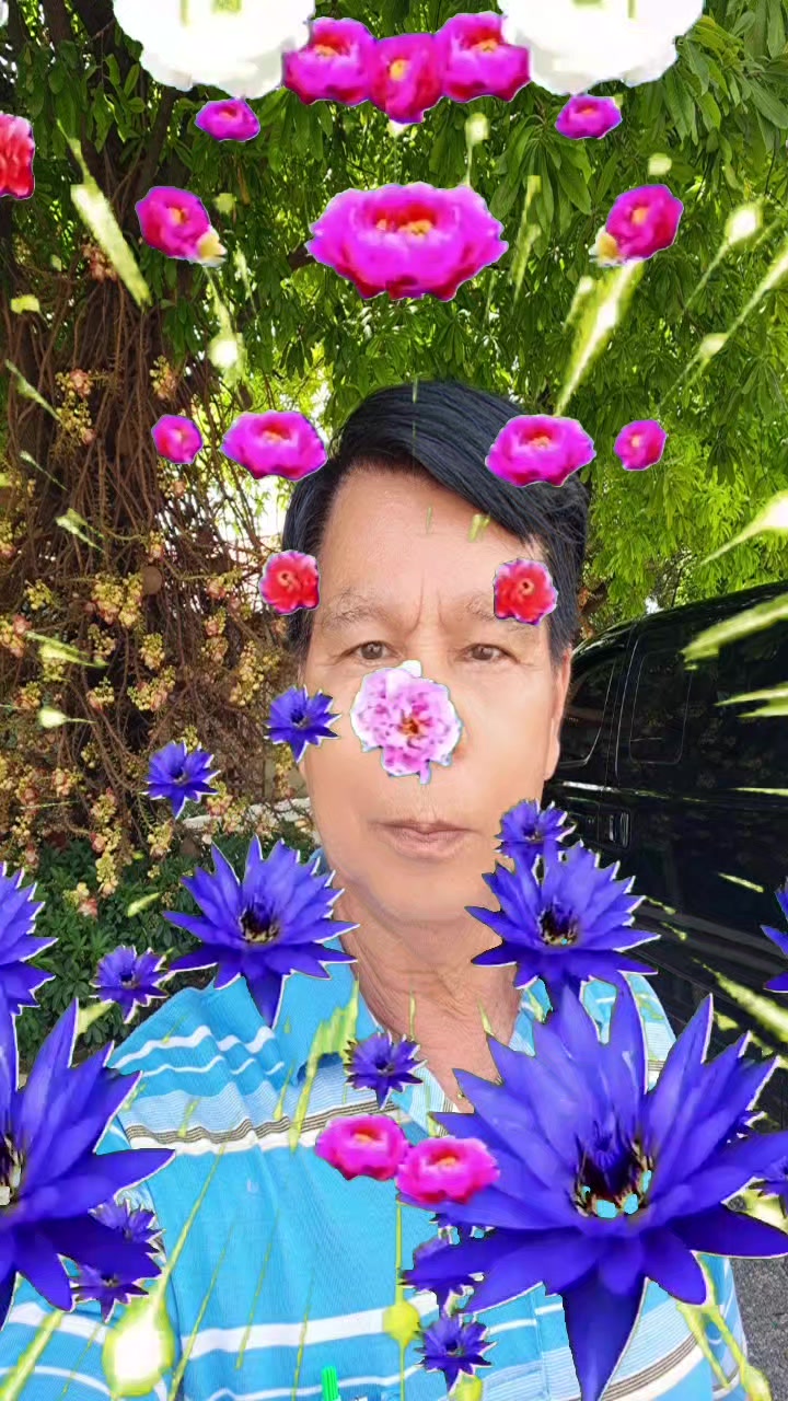 @เพชร ชมภู