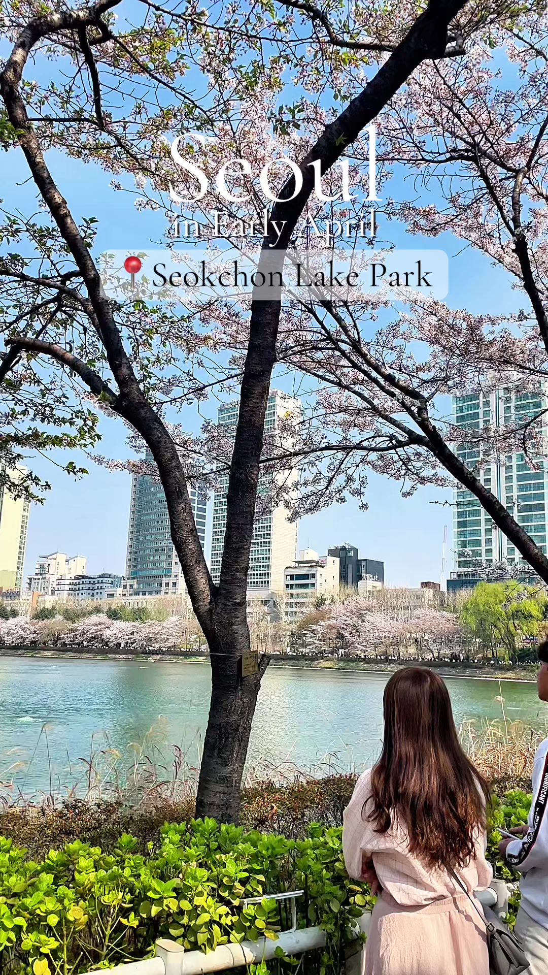 @AriefSyah🇮🇩🇰🇷wkndTourGuide