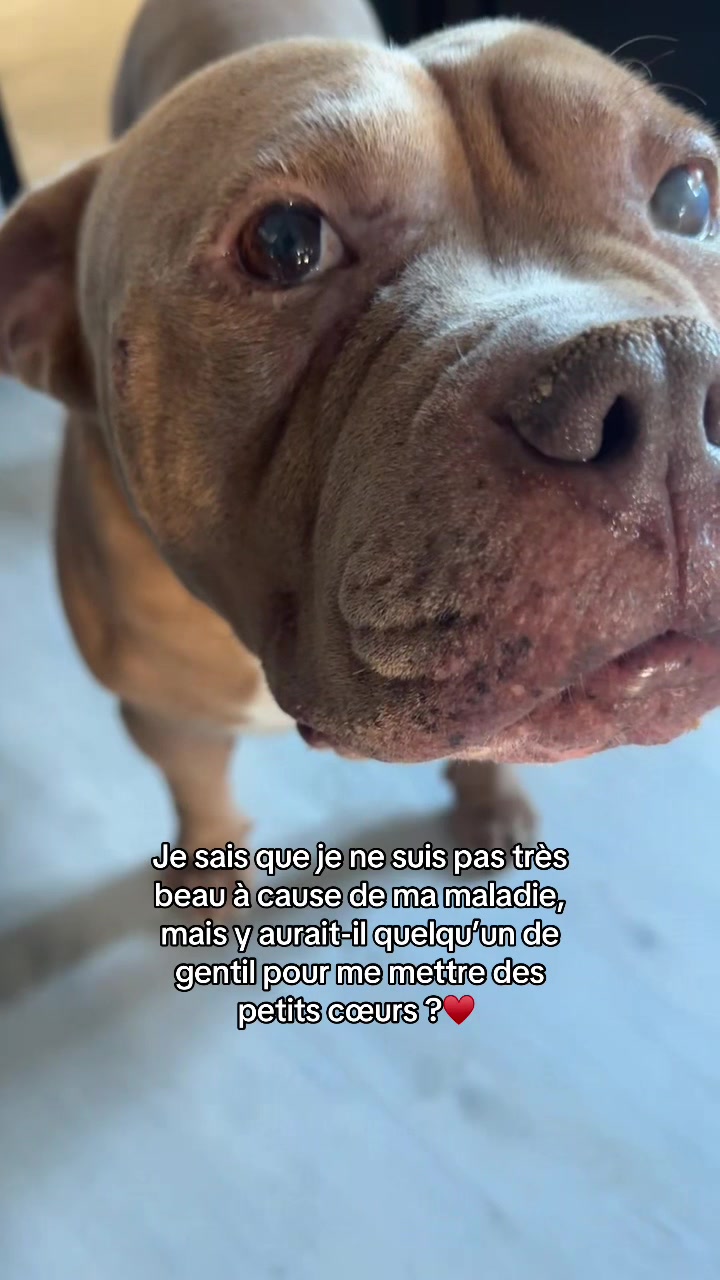 @🧩team bully🐶🧸 CB59 😂