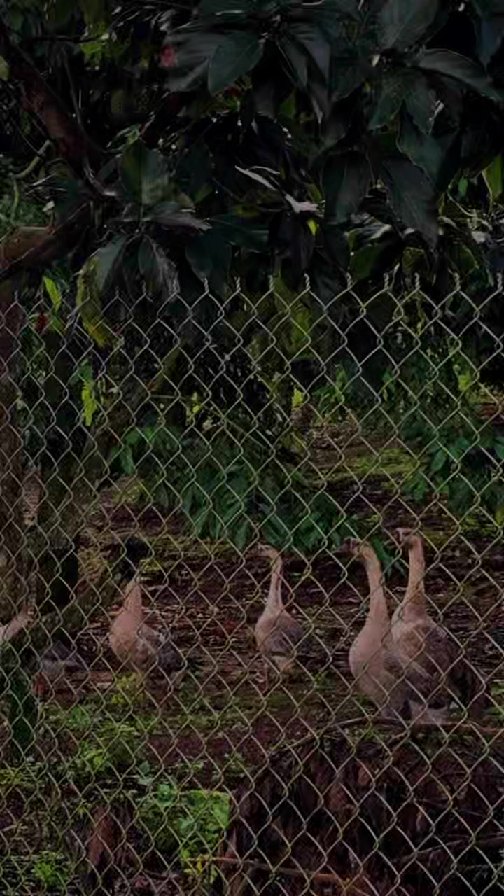 @Vũ Hải