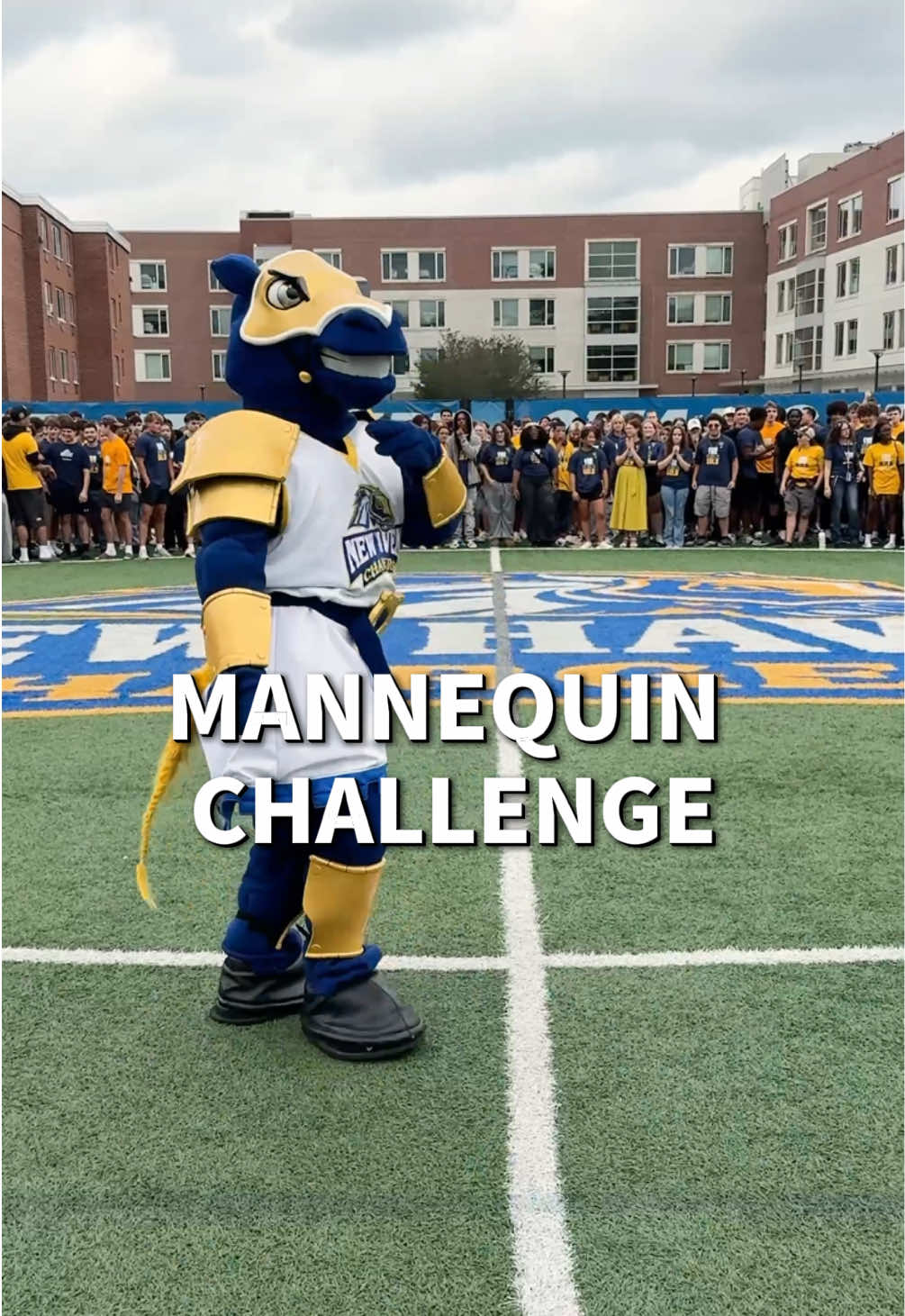 @University of New Haven