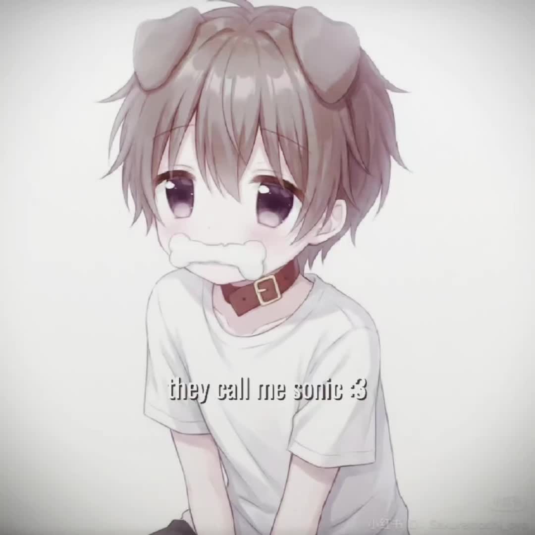 @Setomi