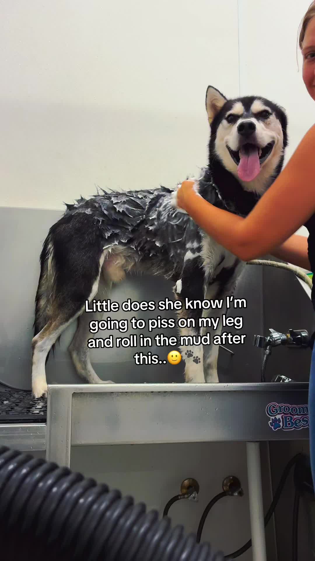 @shyyee22