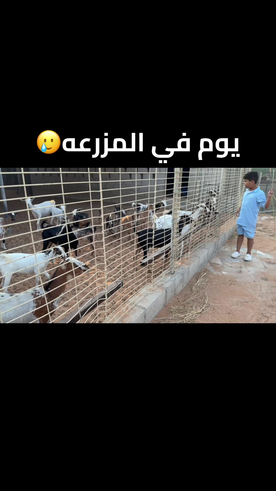 @عائلة الشمري