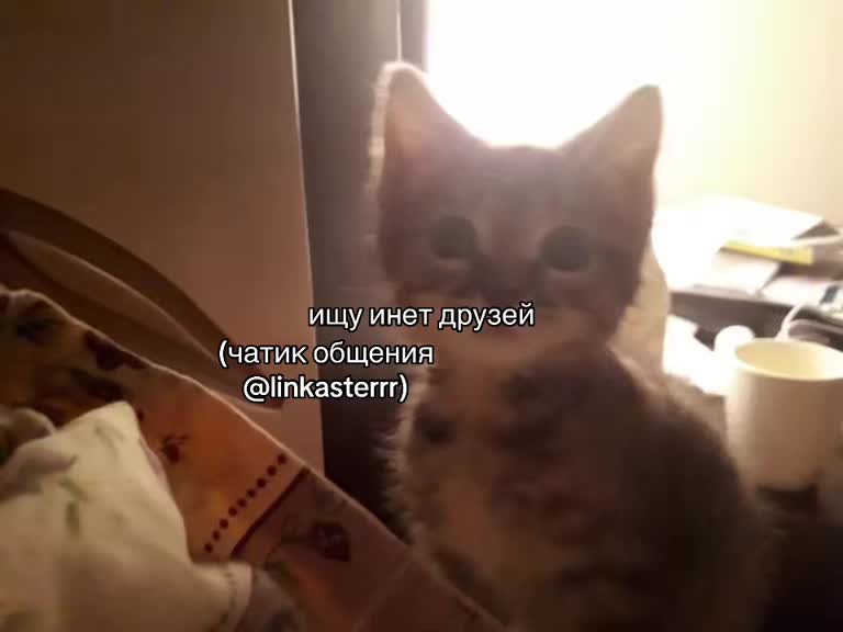 @🍾🫦