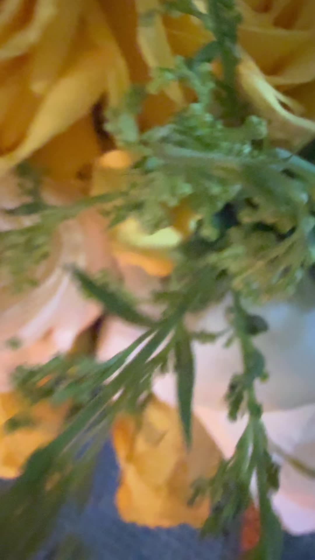 @MeyRodas07🫧🦋