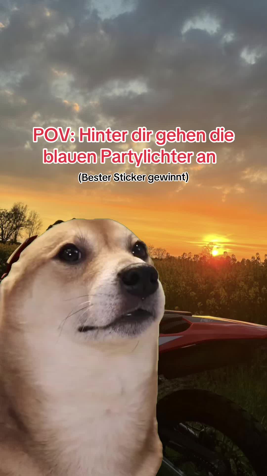 @der.mit.der.simme.s51