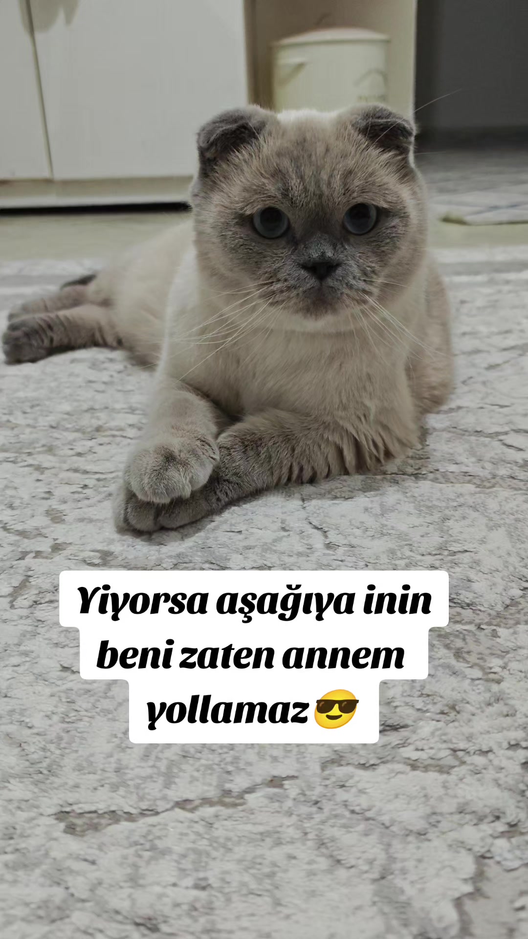 @💙SÜTLAÇ BEY💙