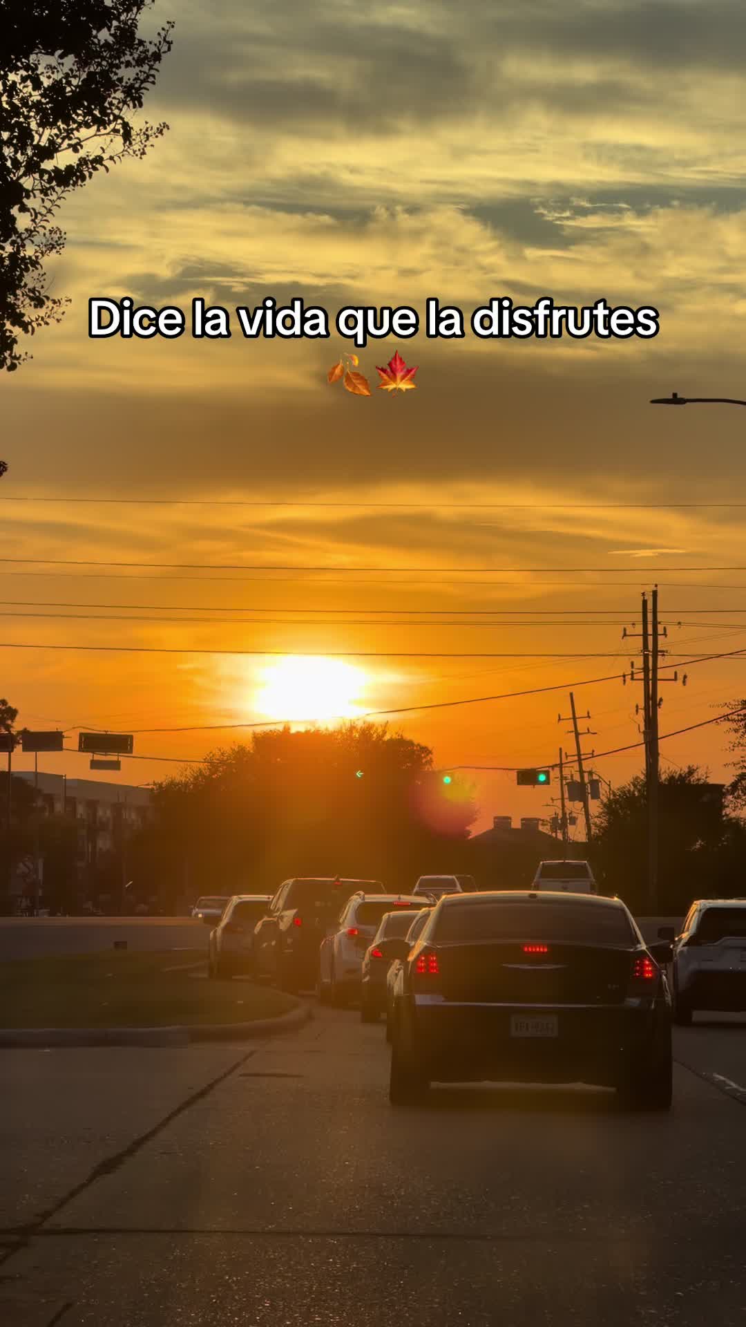 @@yexysanchez90❤️🔥🙏🍀🌹
