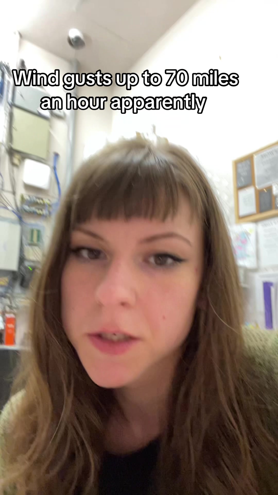 @coletteyspaghetti8