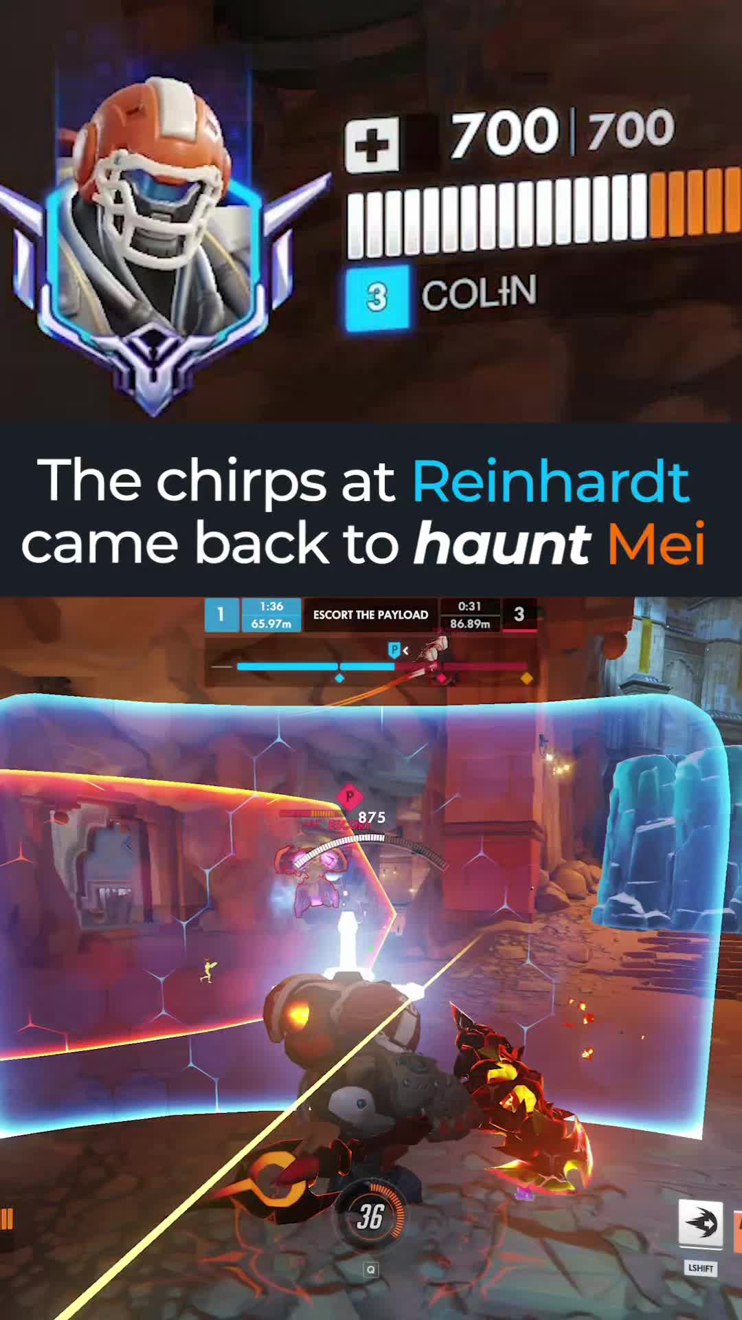 @colin the reinhardt