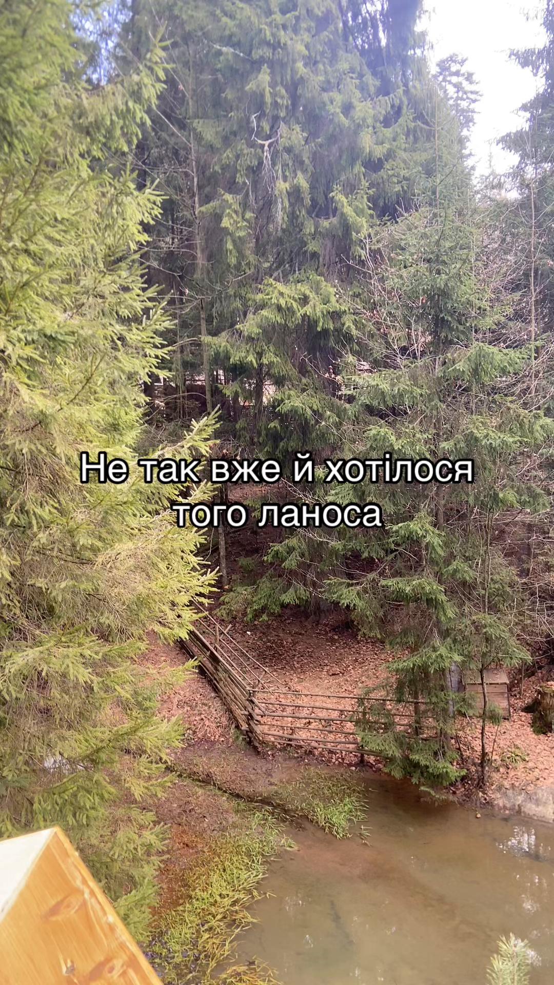 @Катеринка 🇺🇦