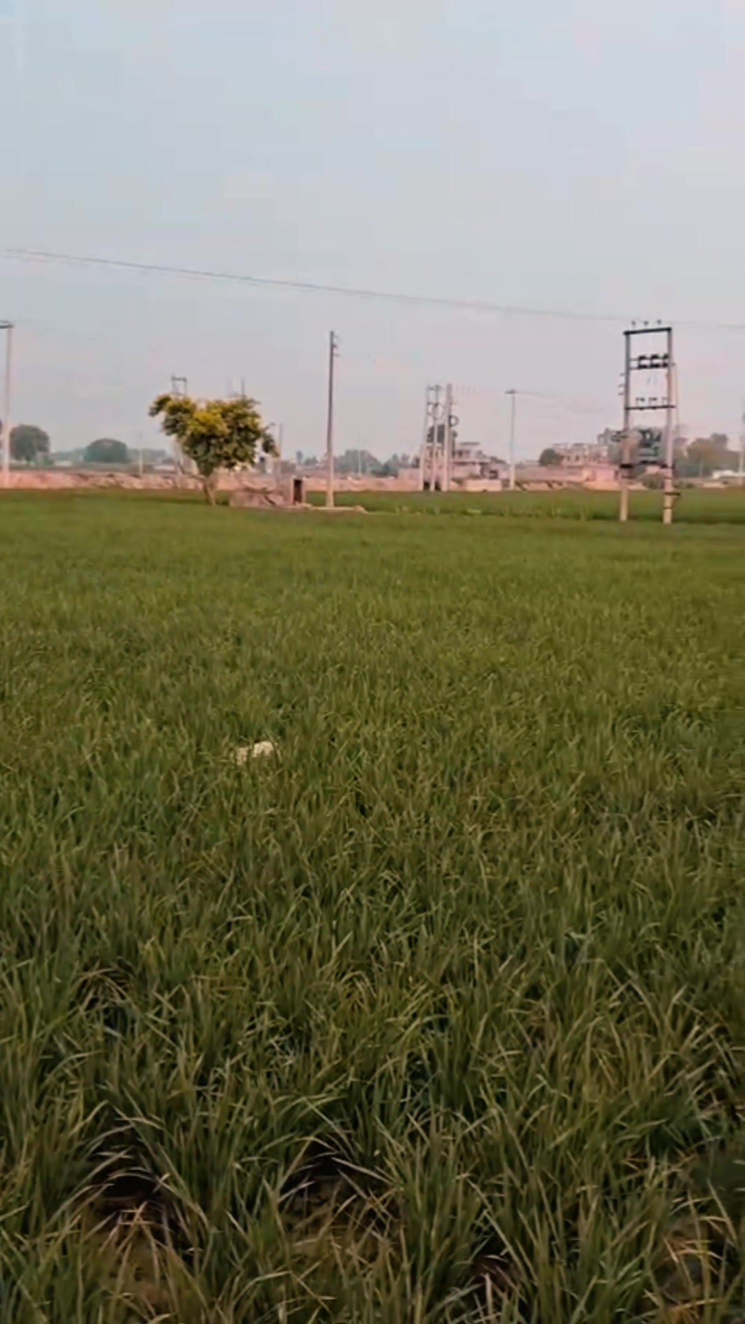 @ਸਰਾਂ