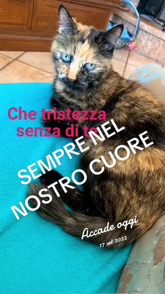 @Paola Bianchi