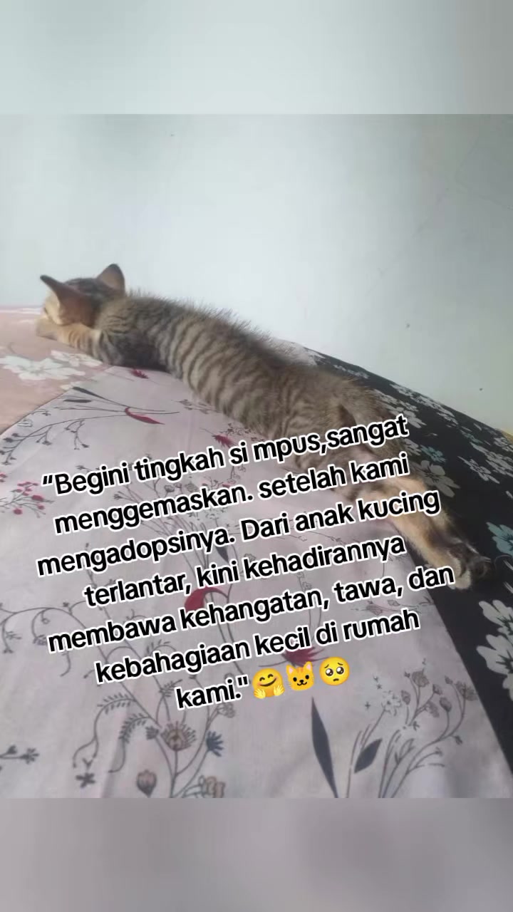 @Rizqi