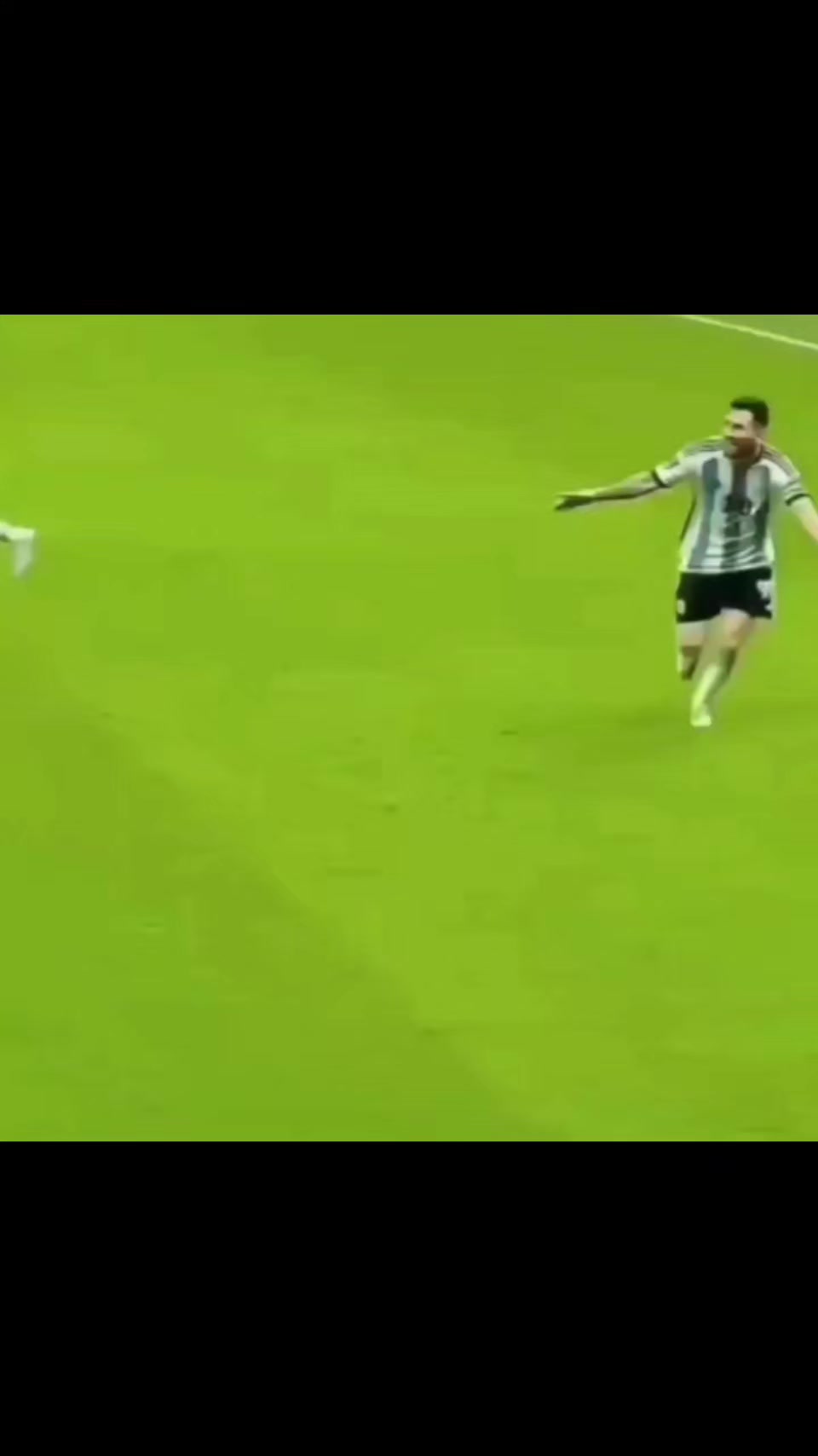 @Argentina's fans