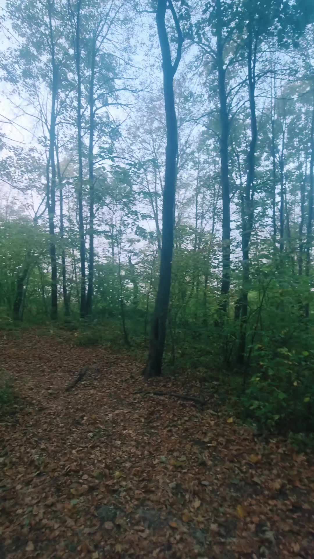 @Коучер